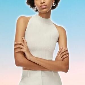 BABATON Aritzia Sculpt Rib-Knit Cropped Halter Top Sz Large Matte Pearl